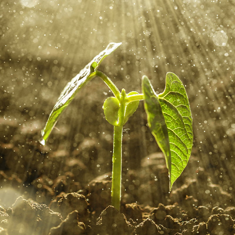 LIQUID-FERTILIZERS-Benefert-cat