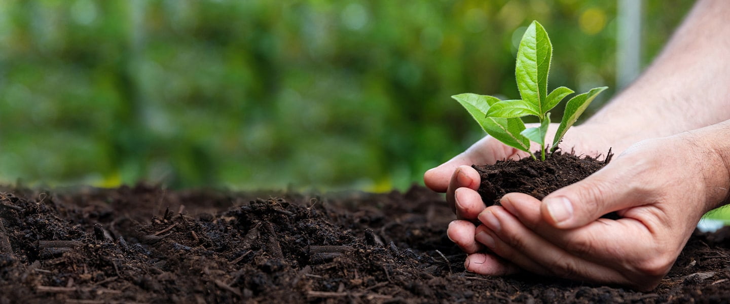 Organic Fertilizers and Biostimulants