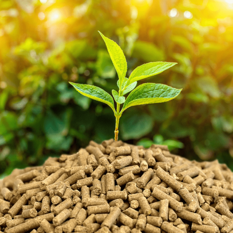 BeneSOL HAIRMEAL pellets with plants-min