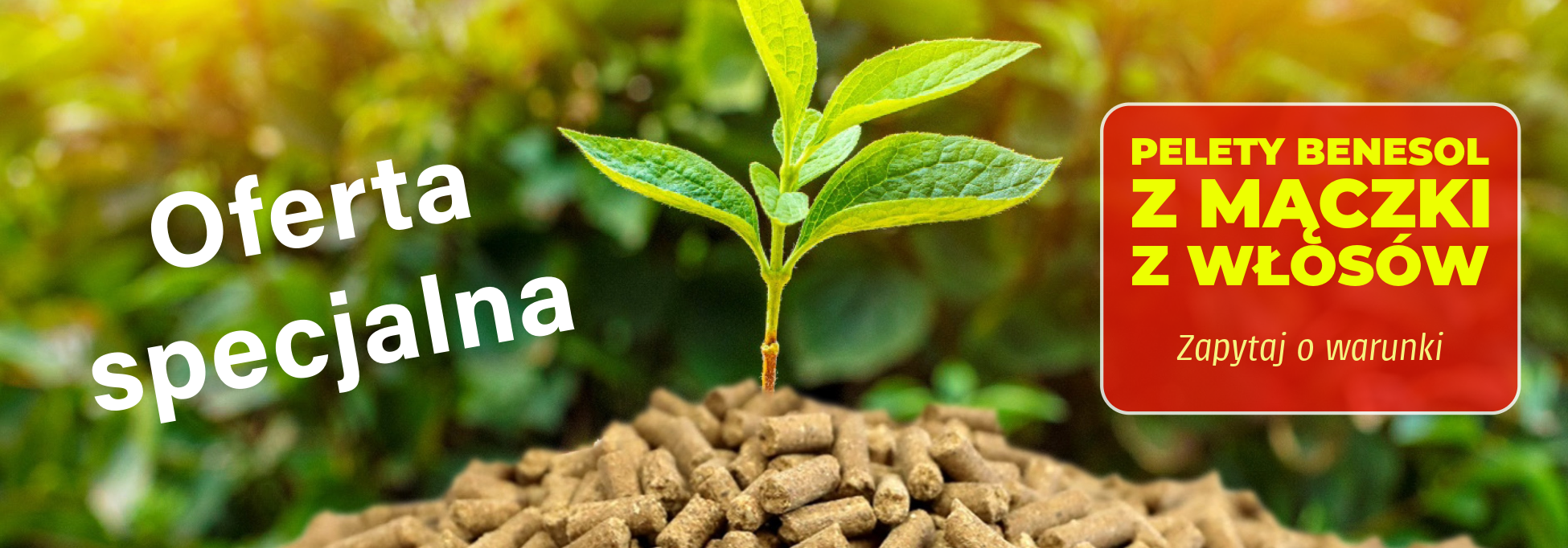 BeneSOL Hairmeal-header