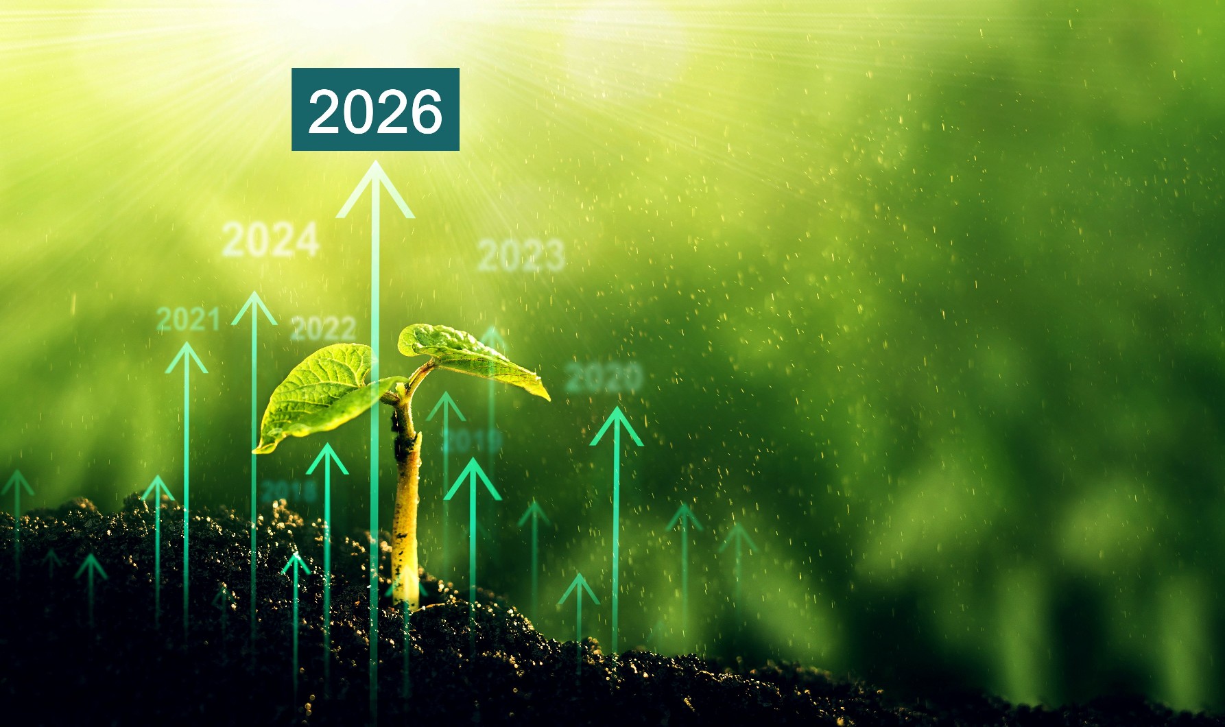 Building resilience Building resilience