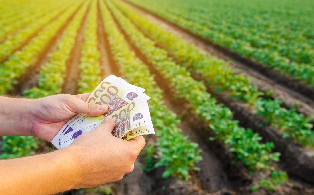 economic factor field Economic factor field